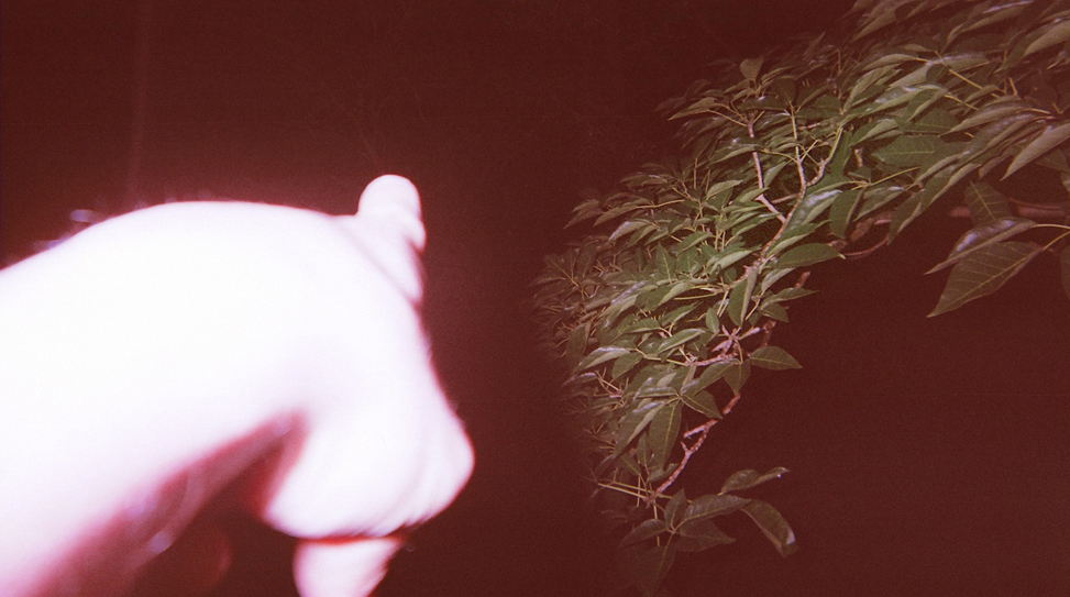 21-exposures-the-golden-filter thumbnail