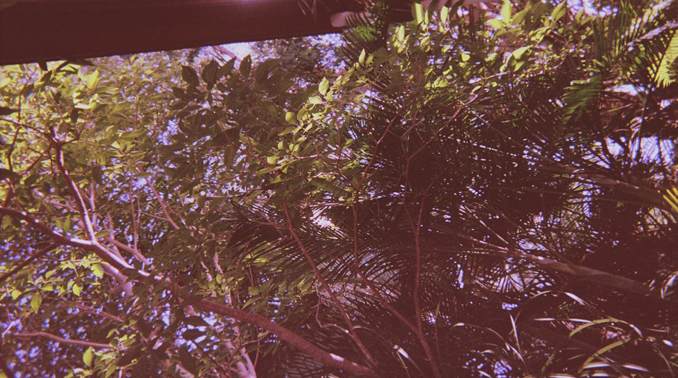 21-exposures-the-golden-filter thumbnail