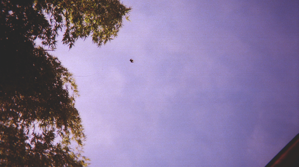 21-exposures-the-golden-filter thumbnail