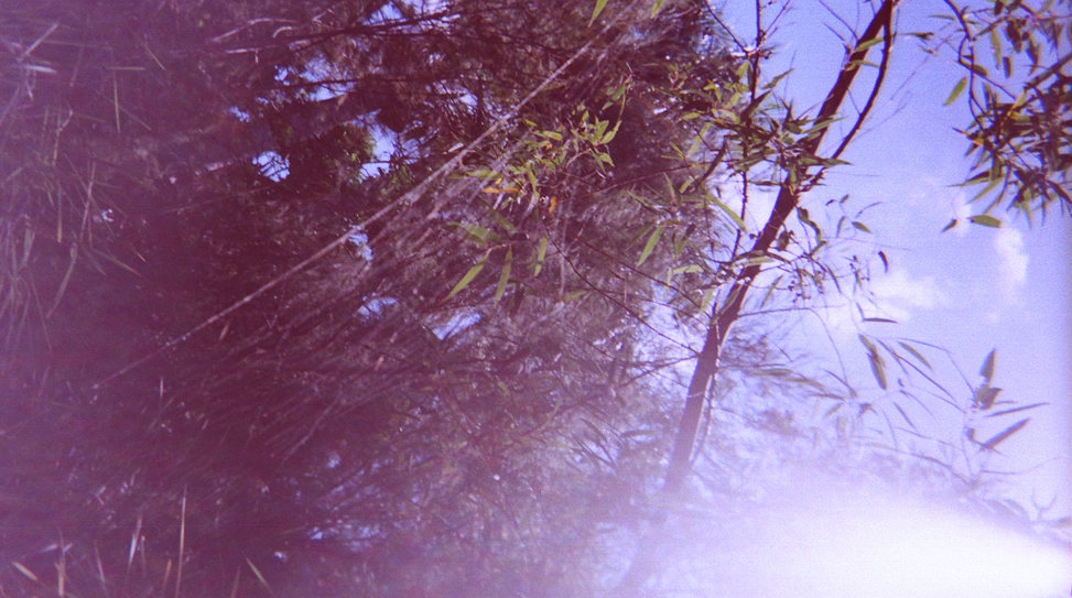 21-exposures-the-golden-filter thumbnail